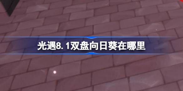 光遇8.1双盘向日葵在哪里 光遇8月1日有友节代币收集攻略