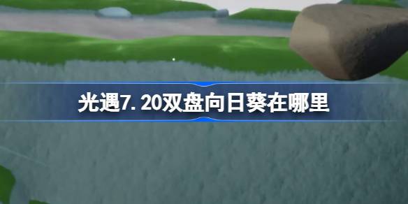 光遇7.20双盘向日葵在哪里 光遇7月20日有友节代币收集攻略